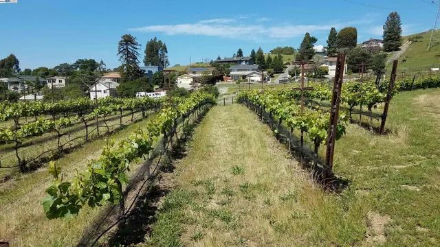 a view of a large building
