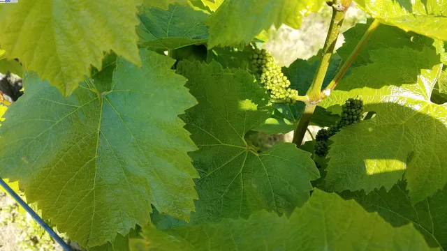 a sign broad in the middle of a garden