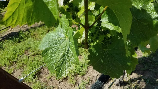 a view of a lake from a balcony