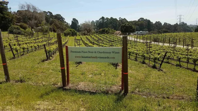 a view of a lake with a outdoor space