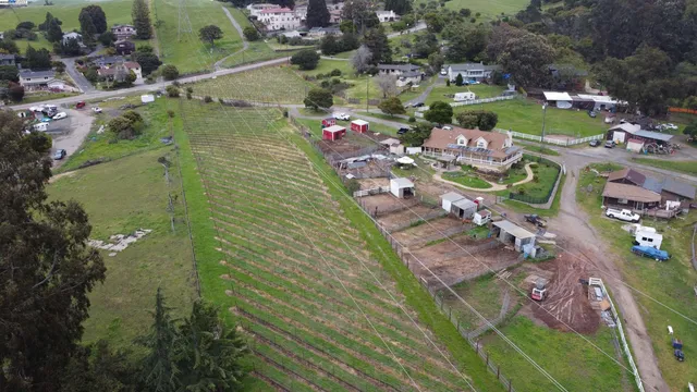 a view of a water fountain