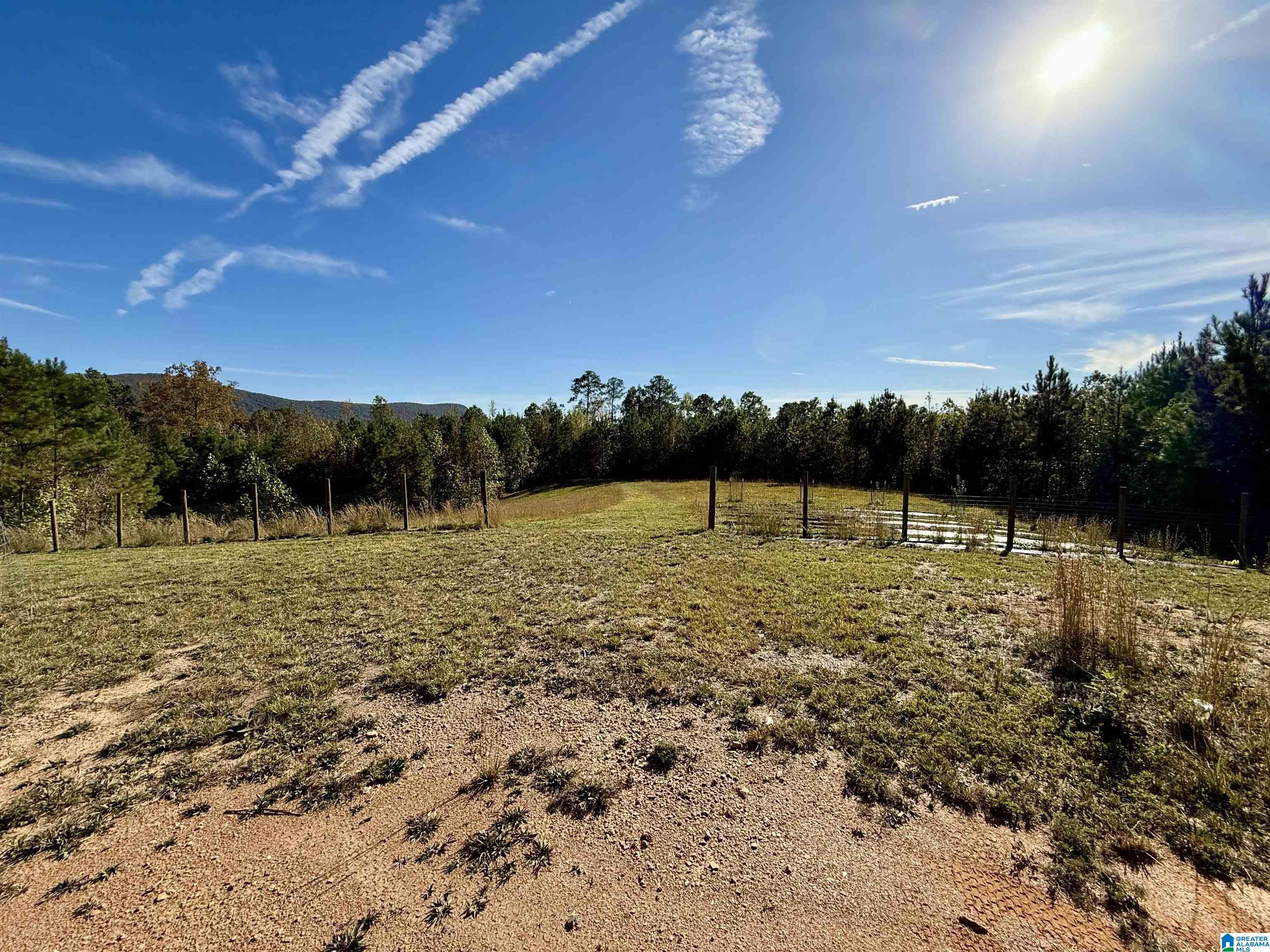 7070 Rendalia Motorway Talladega, AL 35160 - Photo 16 of 28