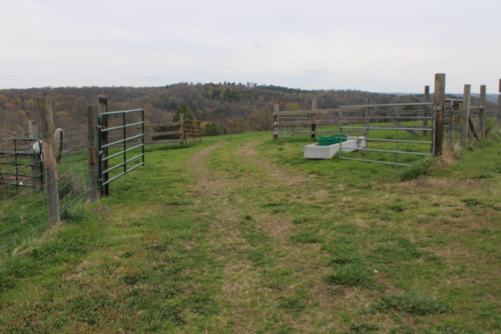 416 New Hope Road Marshall, AR 72650 - Photo 12 of 60 pastures