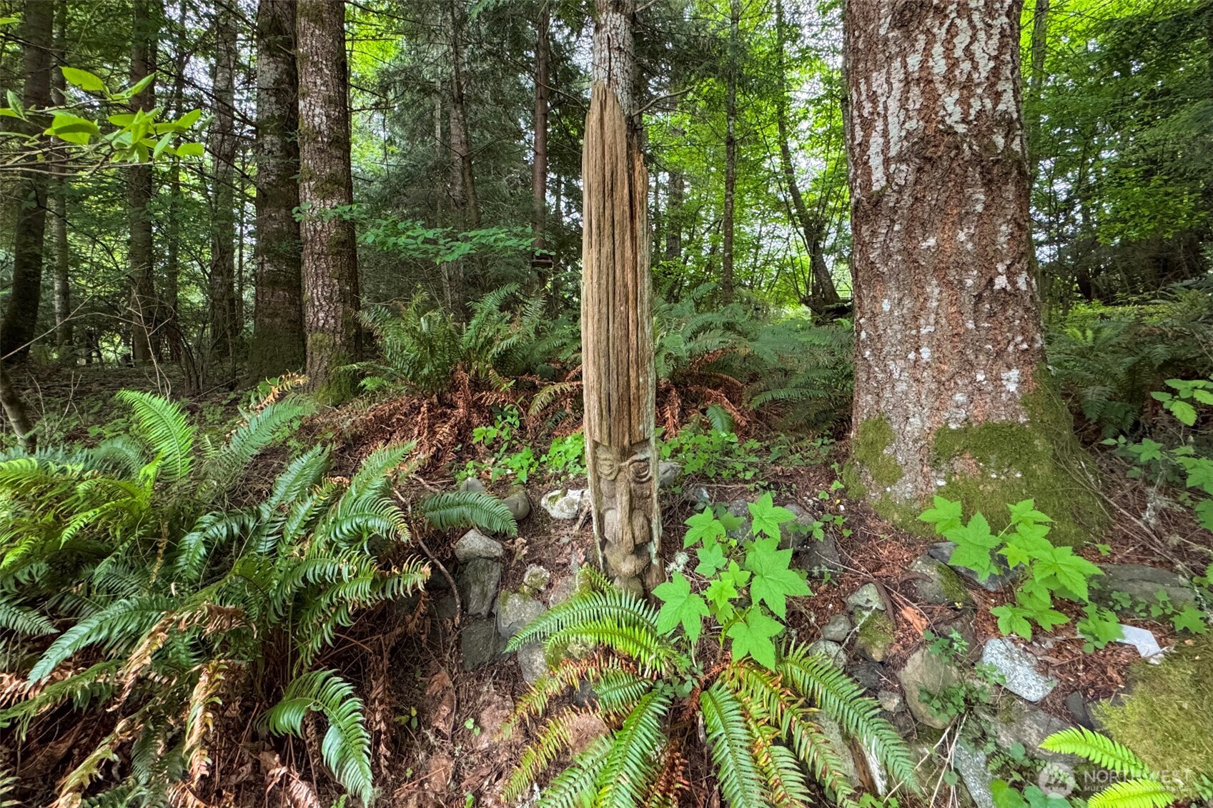 151 Kingo Ridge Road Port Angeles, WA 98363 - Photo 27 of 40 Gallery Image 27