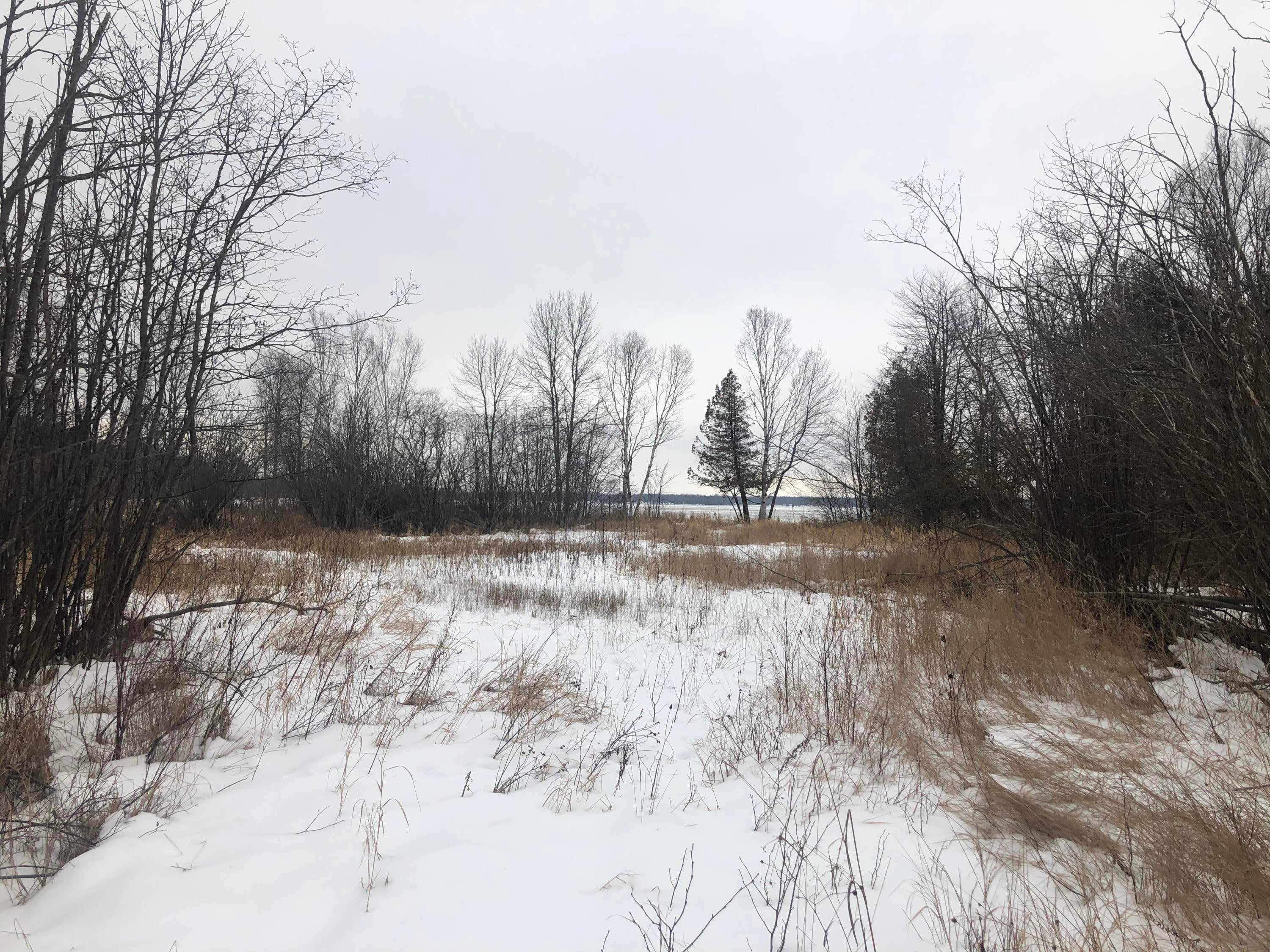 4302 South Bay Mills Point Road Brimley, MI 49715 - Photo 11 of 13 Gallery Image 11