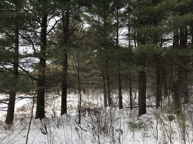 160-ac Scotchman Lake Road Minocqua, WI 54548 - Photo 18 of 30 Gallery Image 18