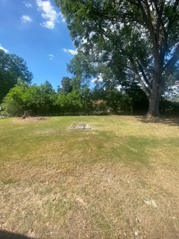 a view of an ocean from a yard
