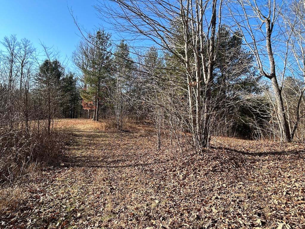 35.9-ac Rural Retreat Lake Road, Unit 7D Rural Retreat, VA 24368 - Photo 2 of 46 Gallery Image 2