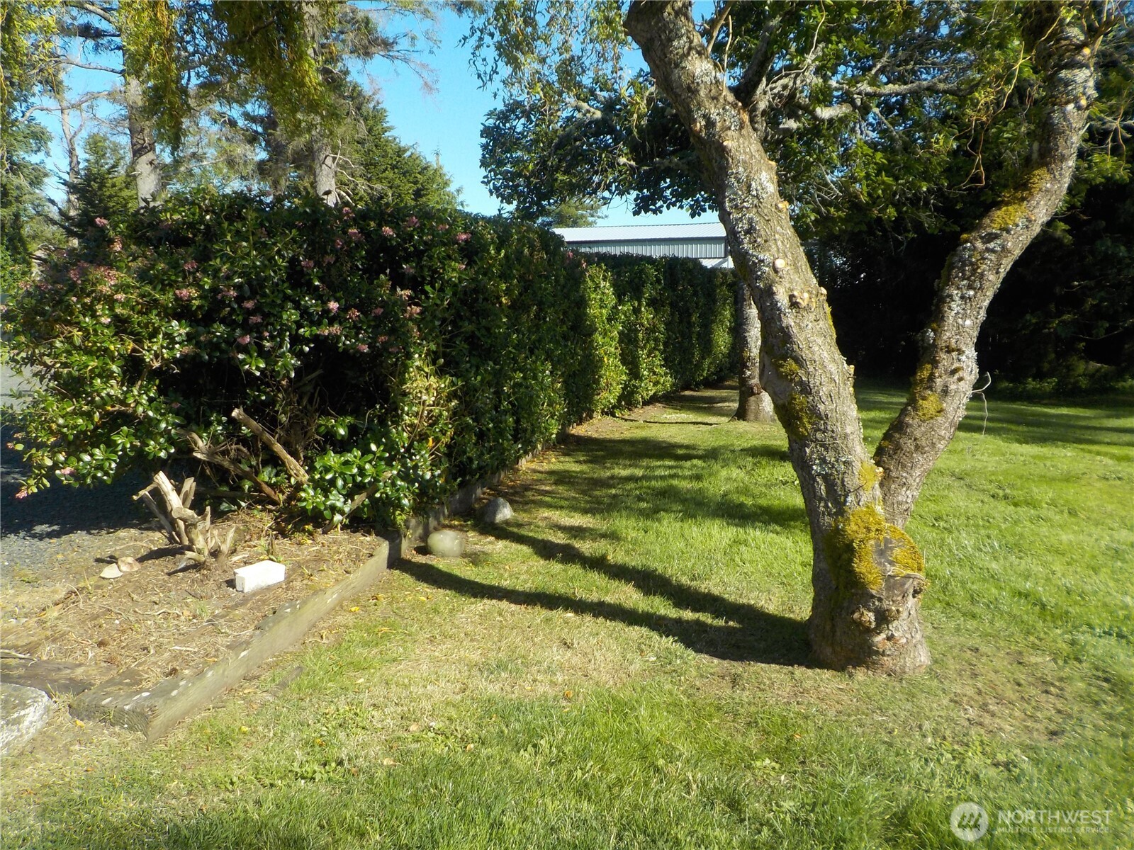 830 Bussone Lane Chinook, WA 98614 - Photo 14 of 26