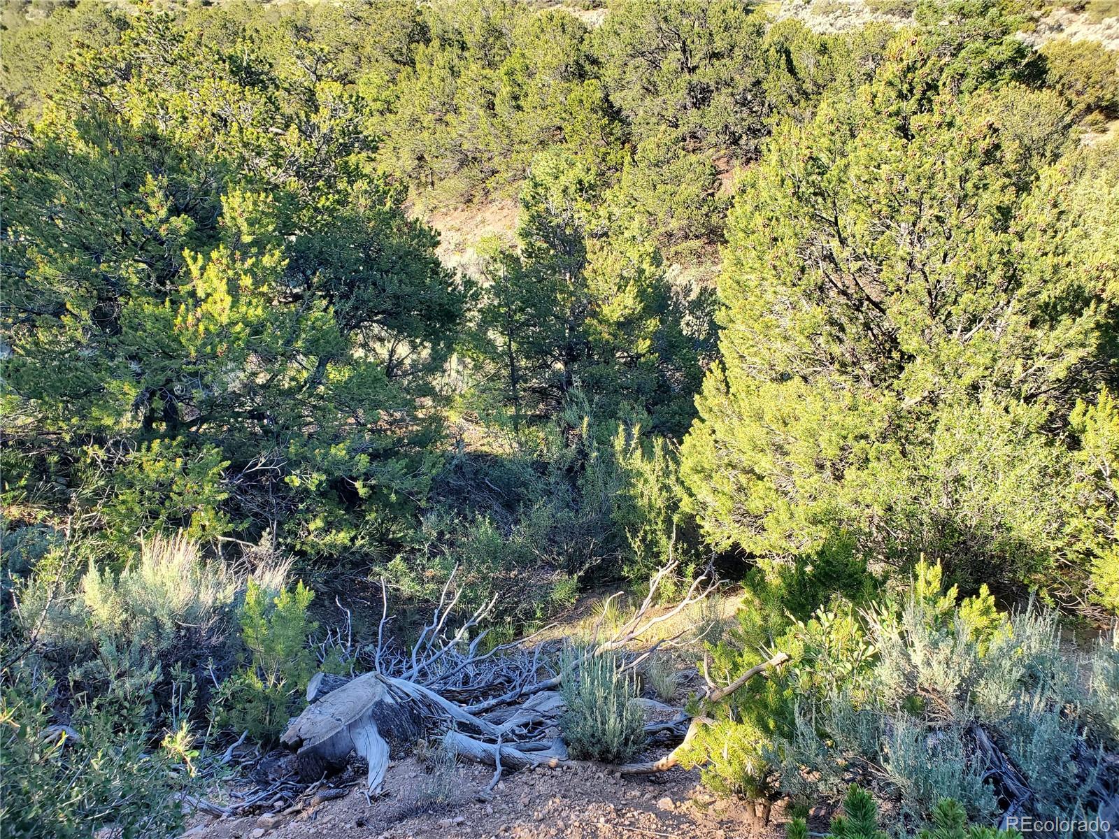 5997 Rod Road San Luis, CO 81152 - Photo 12 of 23 Gallery Image 12