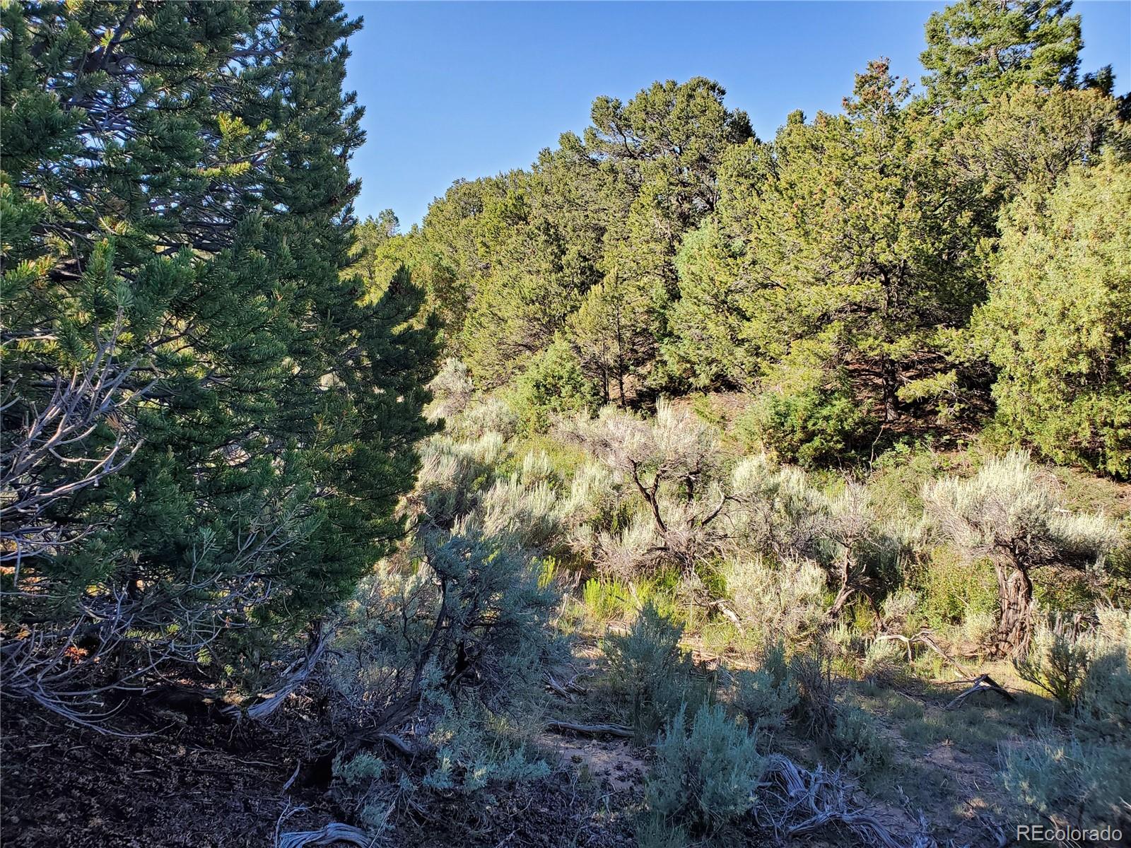 5997 Rod Road San Luis, CO 81152 - Photo 15 of 23 Gallery Image 15