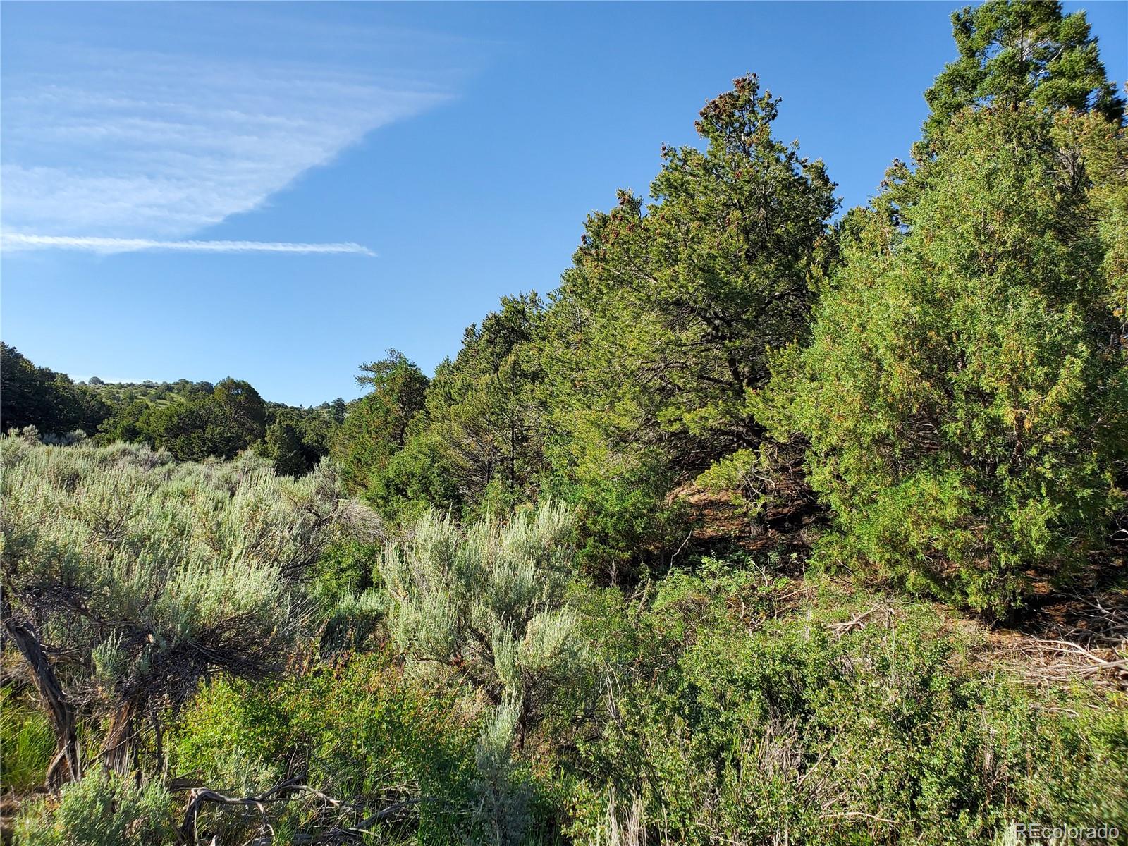 5997 Rod Road San Luis, CO 81152 - Photo 16 of 23 Gallery Image 16