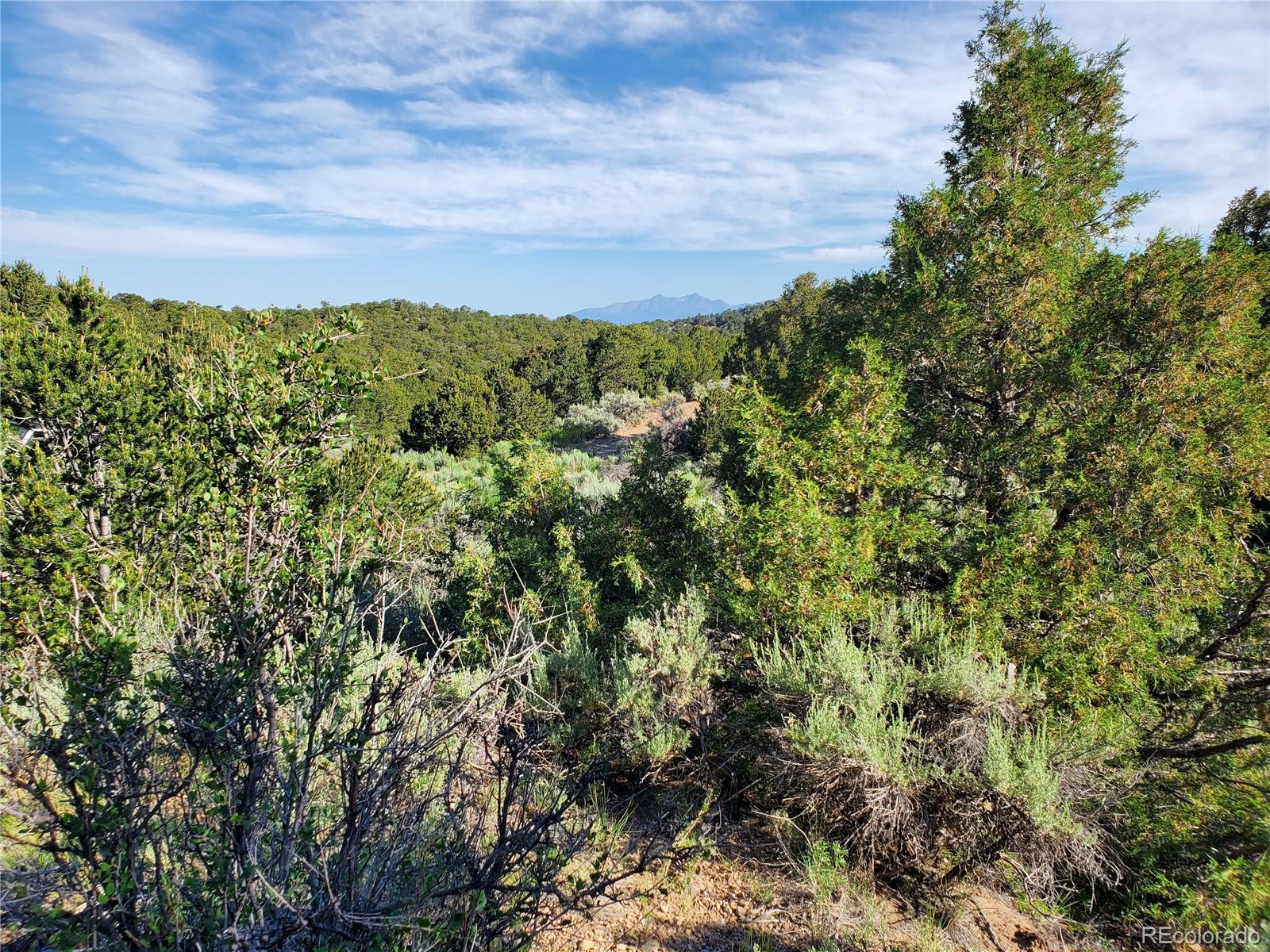 5997 Rod Road San Luis, CO 81152 - Photo 18 of 23 Gallery Image 18