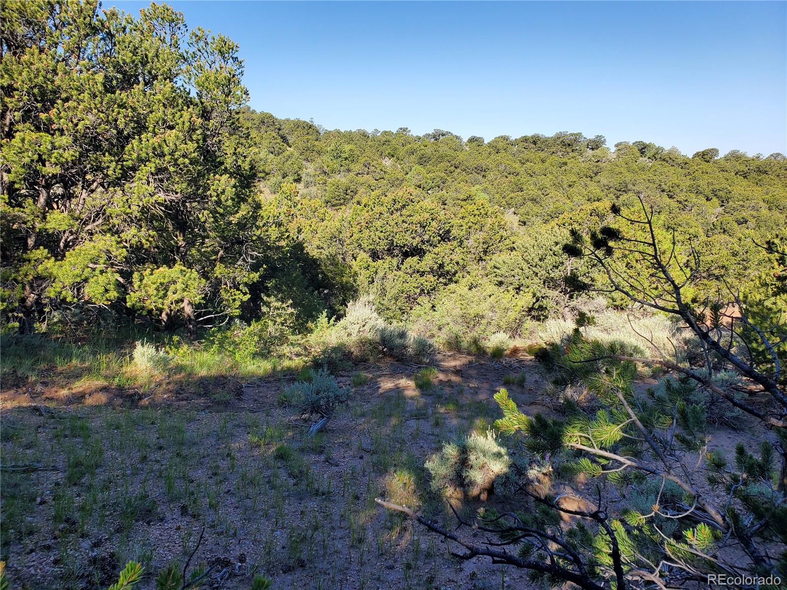 5997 Rod Road San Luis, CO 81152 - Photo 2 of 23 Gallery Image 2