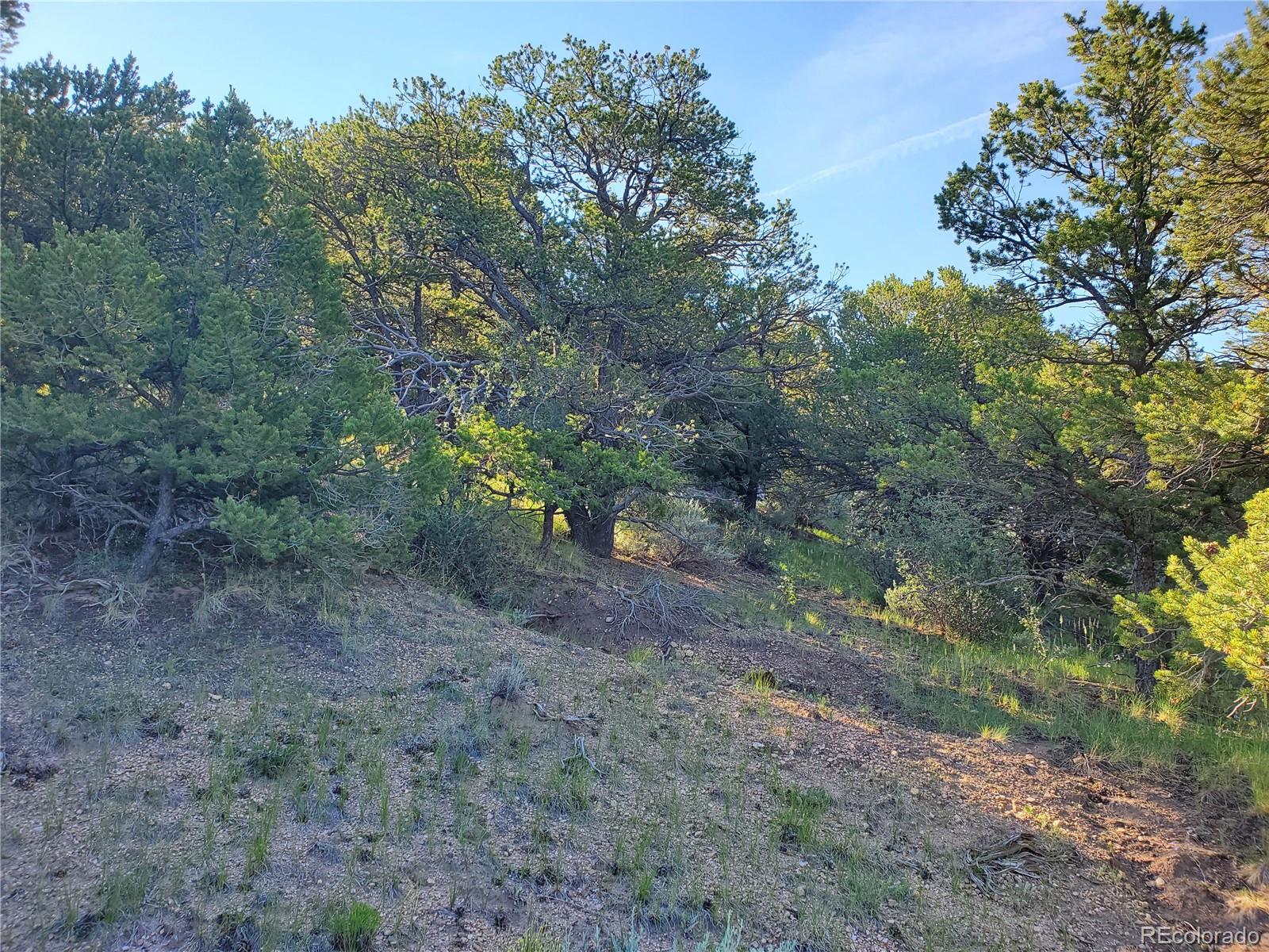 5997 Rod Road San Luis, CO 81152 - Photo 23 of 23 Gallery Image 23