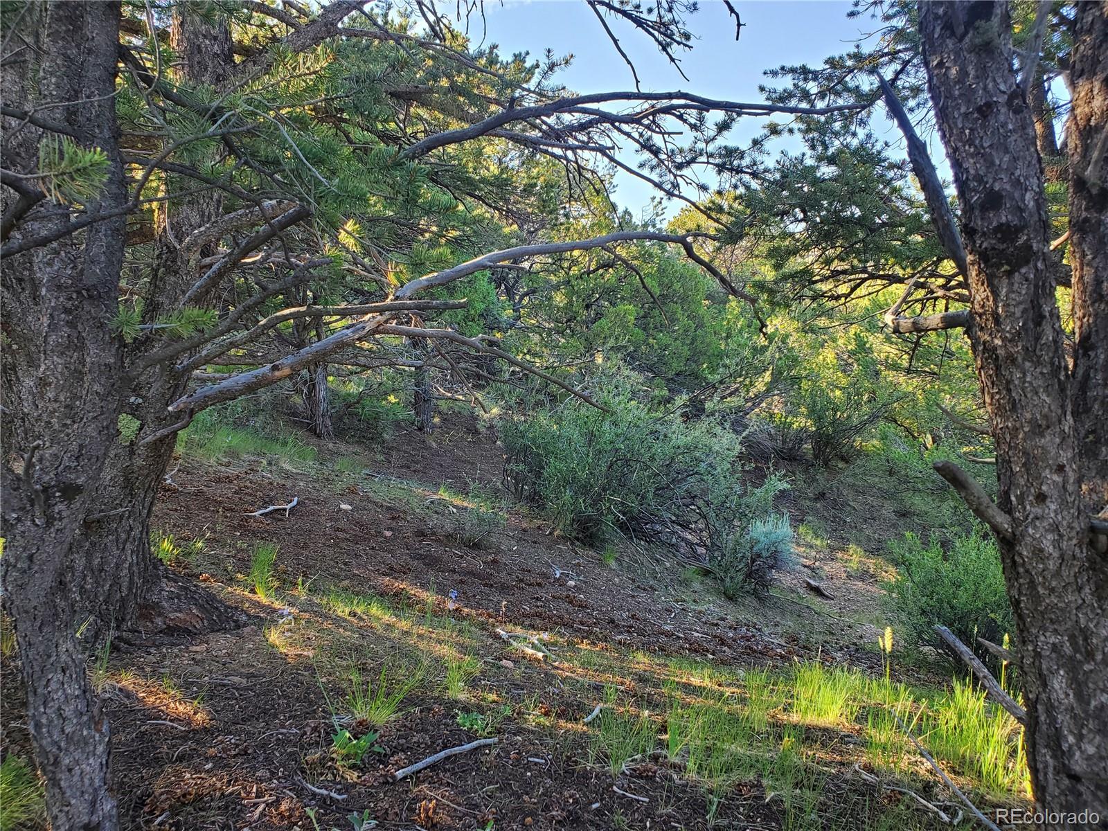 5997 Rod Road San Luis, CO 81152 - Photo 5 of 23 Gallery Image 5