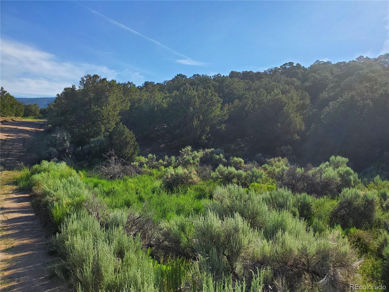 5997 Rod Road San Luis, CO 81152 - Photo 7 of 23 Gallery Image 7