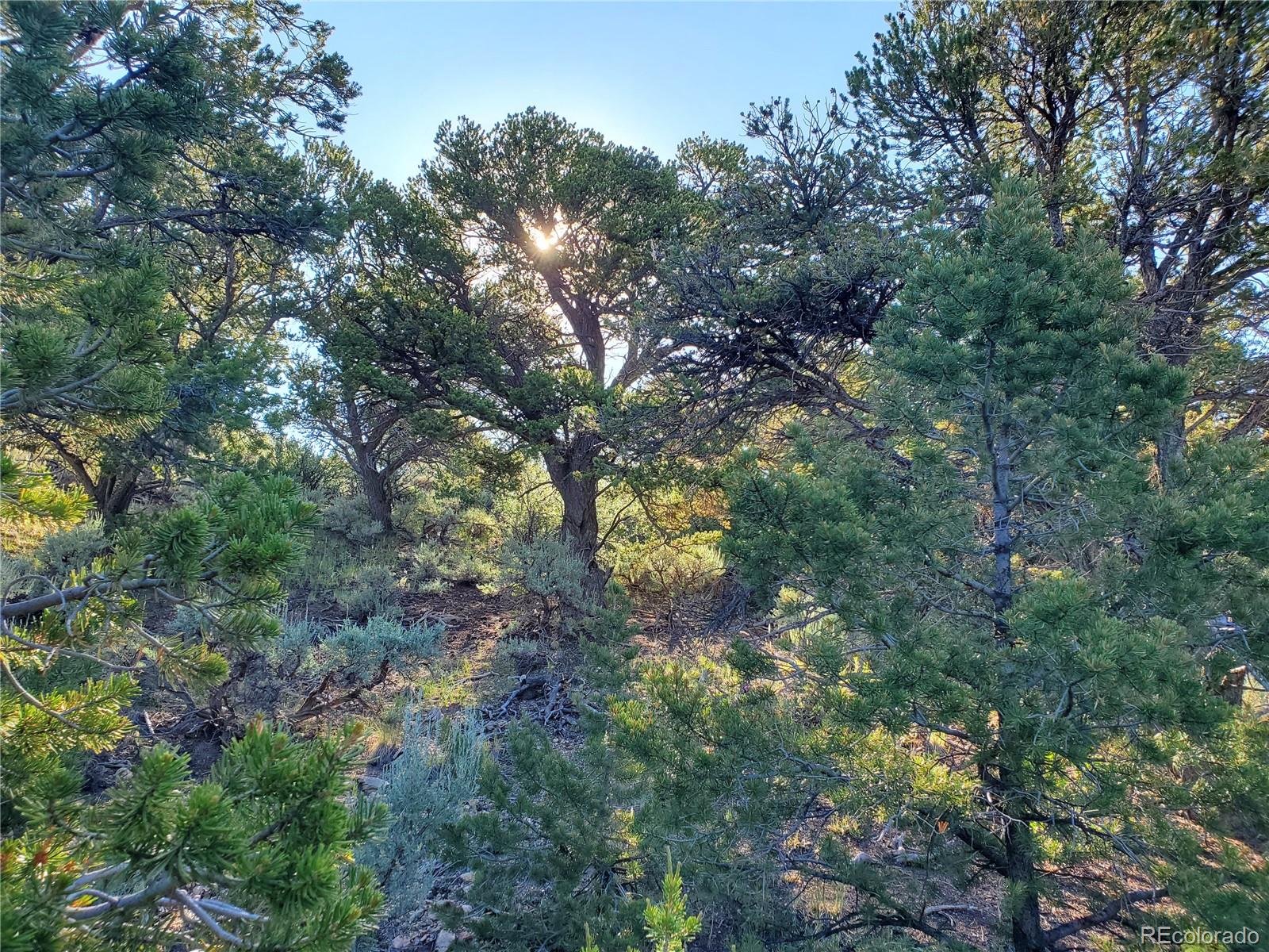5997 Rod Road San Luis, CO 81152 - Photo 8 of 23 Gallery Image 8