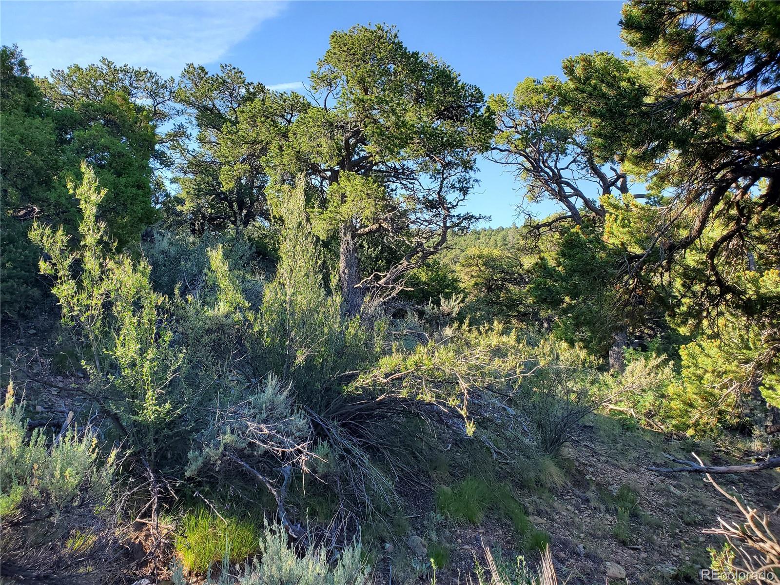 5997 Rod Road San Luis, CO 81152 - Photo 9 of 23 Gallery Image 9