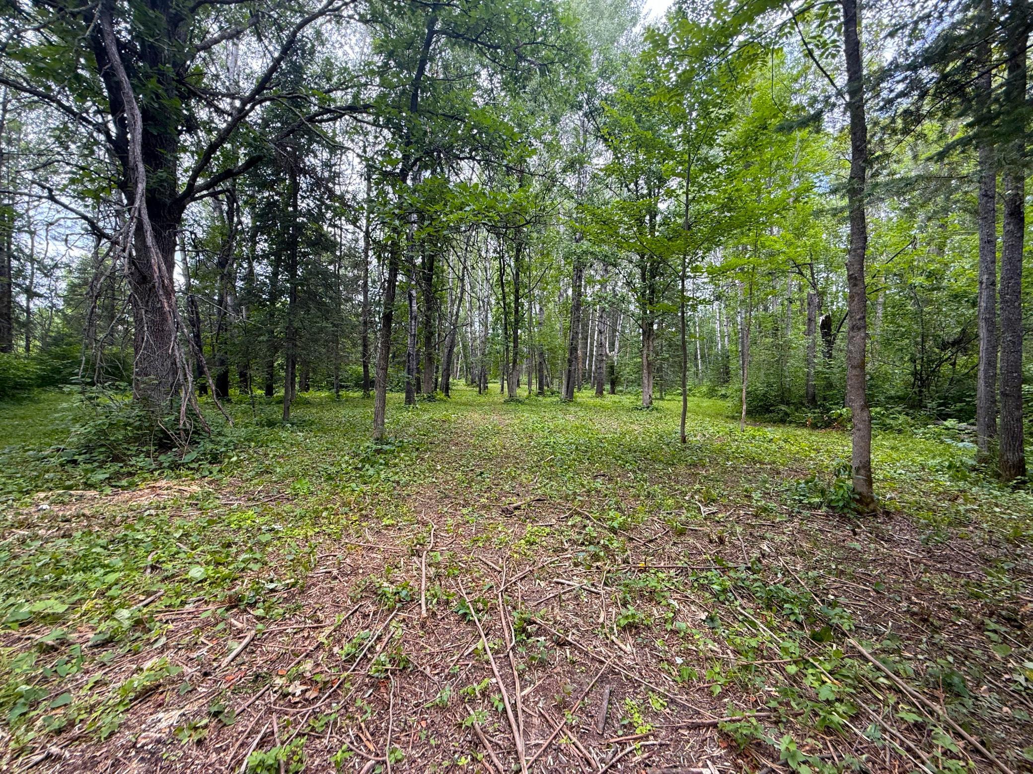 42050 Little Pine Road Emily, MN 56447 - Photo 129 of 141