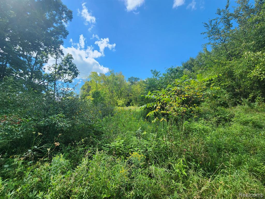 1 Marshall Road Ann Arbor, MI 48104 - Photo 4 of 14 Gallery Image 4