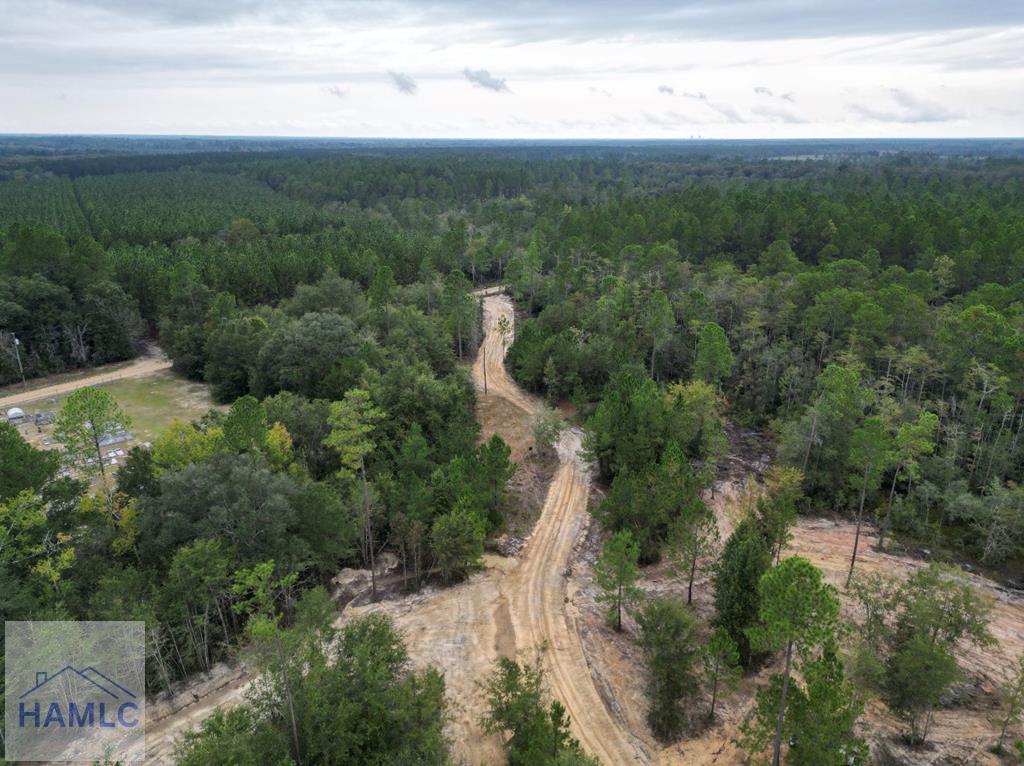 1421 River Road Jesup, GA 31546 - Photo 4 of 13 Gallery Image 4