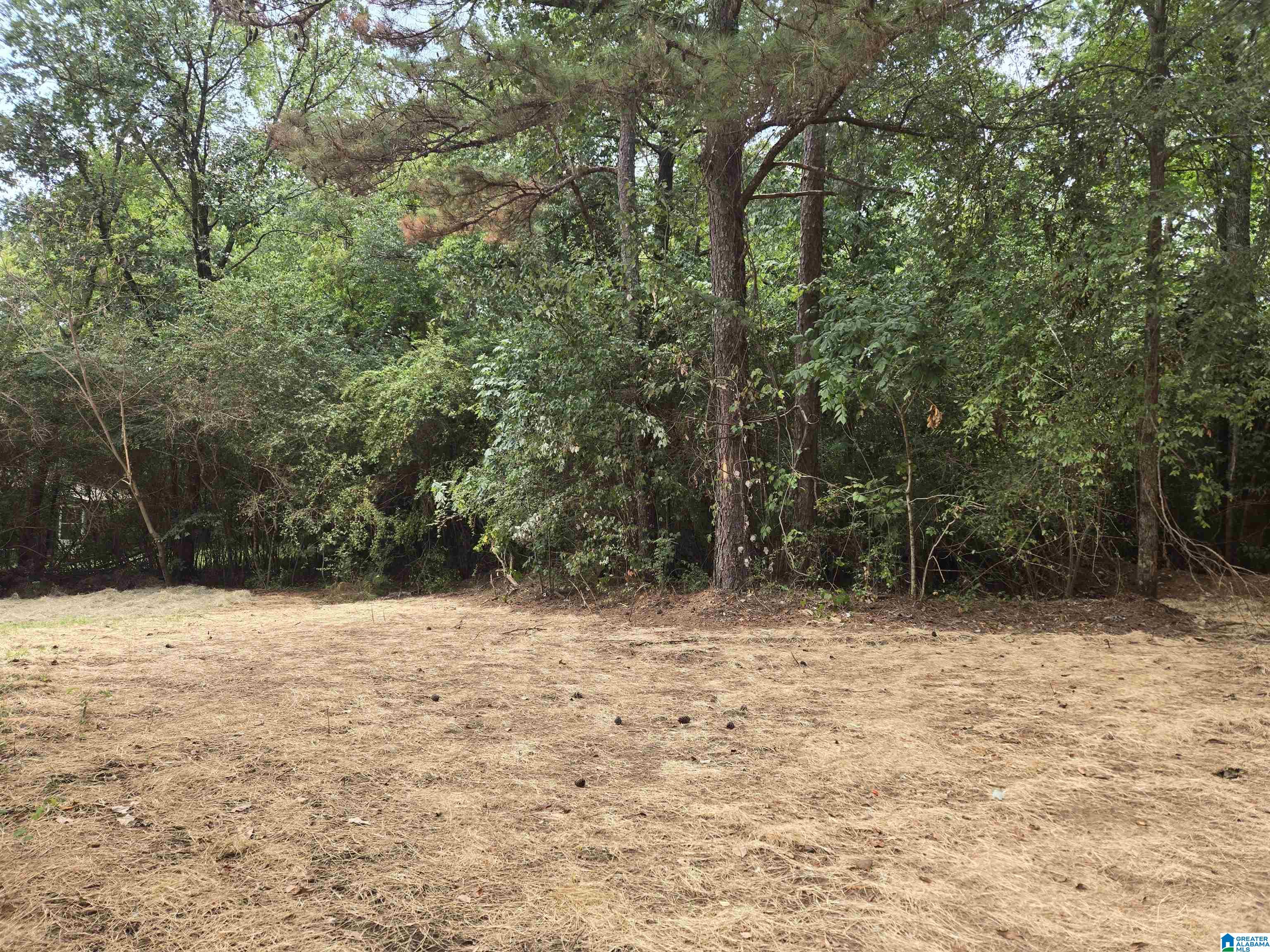 55 Wet Cat Road Hayden, AL 35079 - Photo 21 of 21