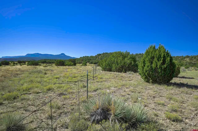 a view of an outdoor space and a yard