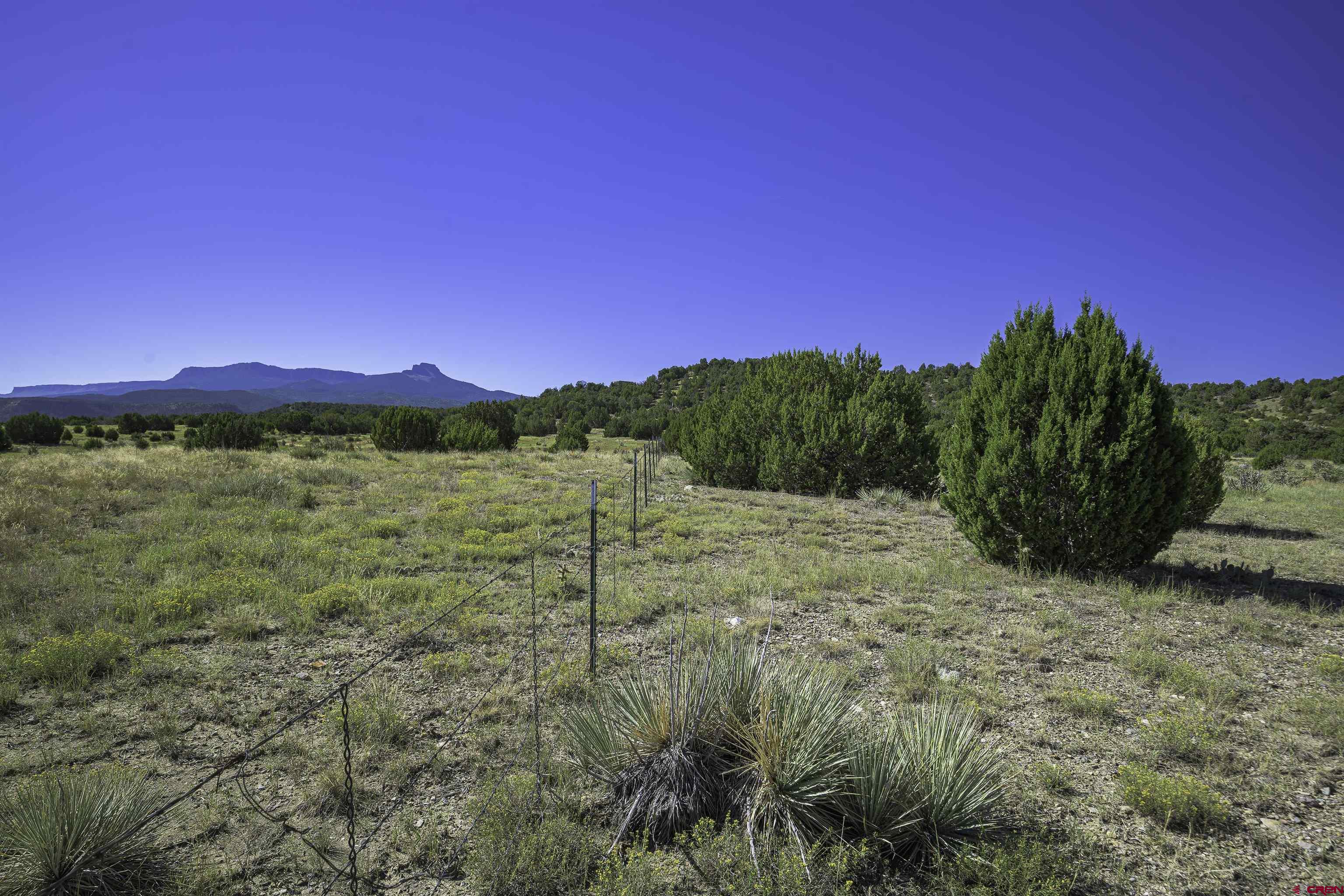 a view of an outdoor space and a yard
