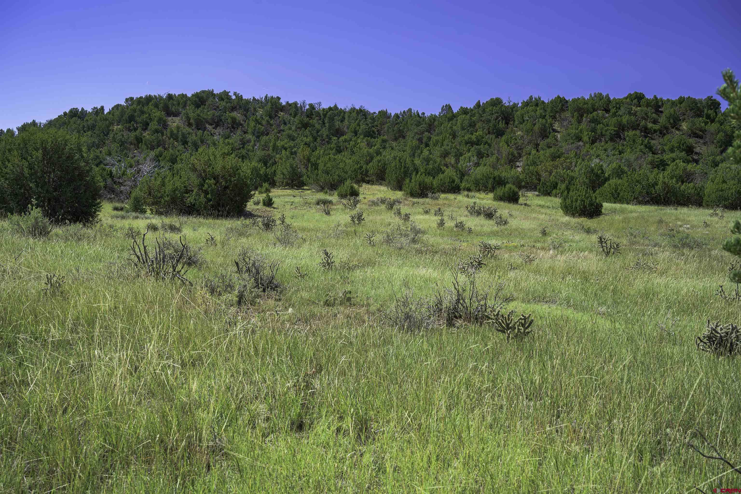 37250 Kunzite Road Trinidad, CO 81082 - Photo 12 of 33 a view of a lush green outdoor space with a lake view