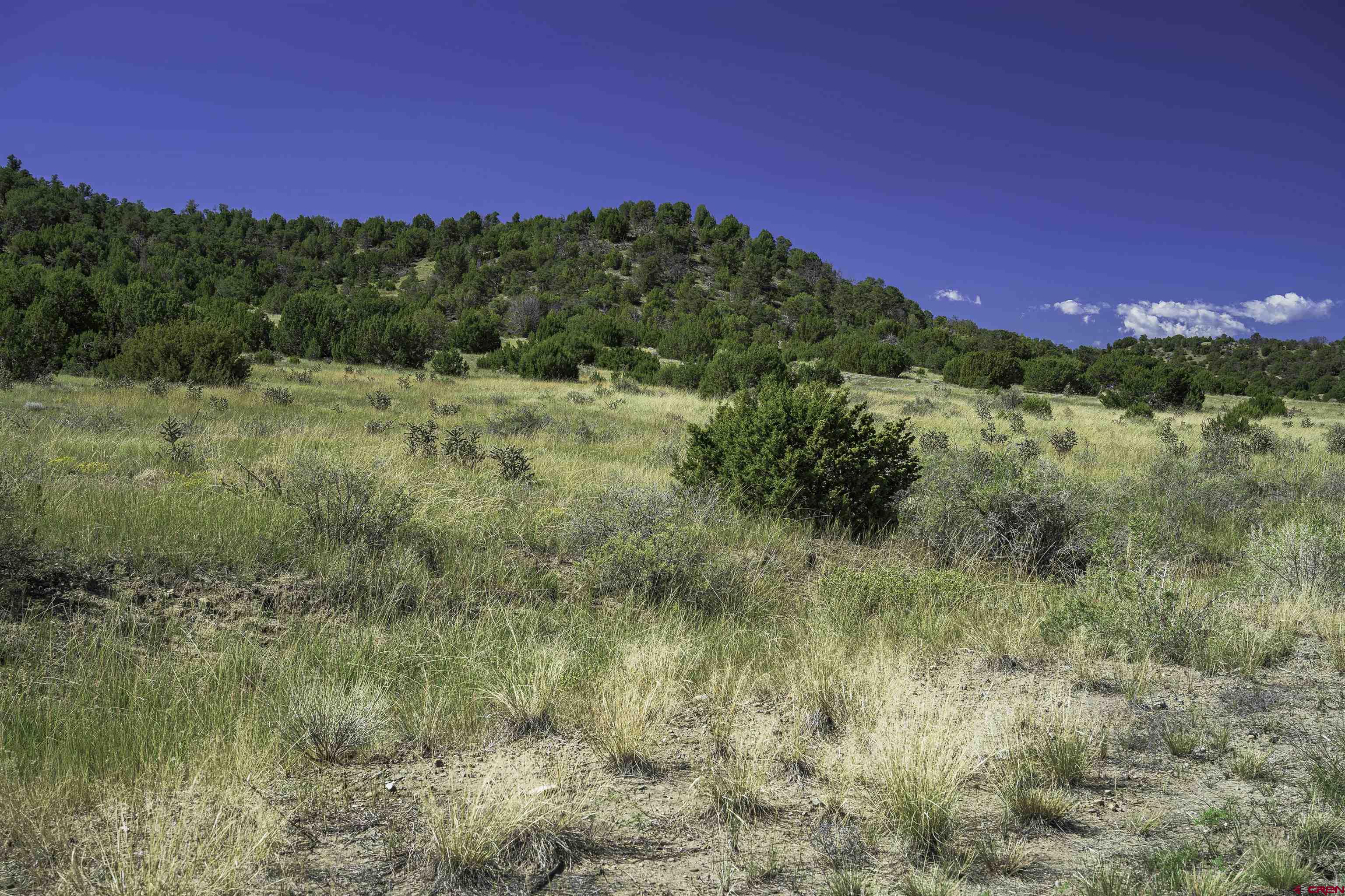37250 Kunzite Road Trinidad, CO 81082 - Photo 14 of 33 a view of a yard