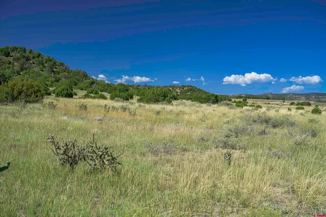 a view of a green field