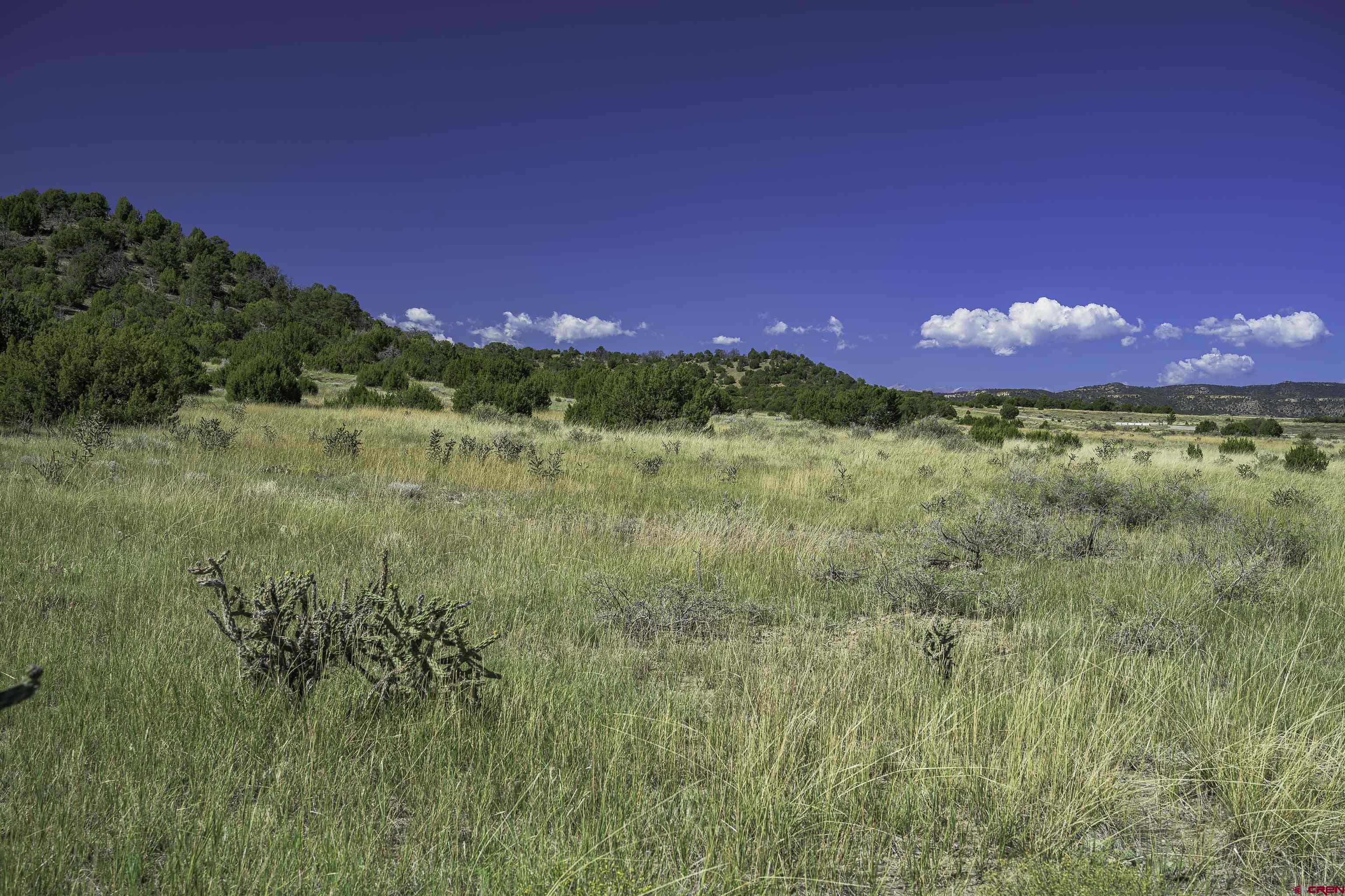 37250 Kunzite Road Trinidad, CO 81082 - Photo 15 of 33