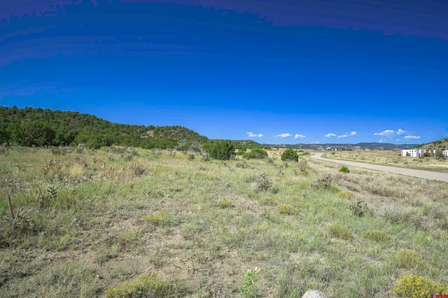 a view of a large trees with mountains in the background