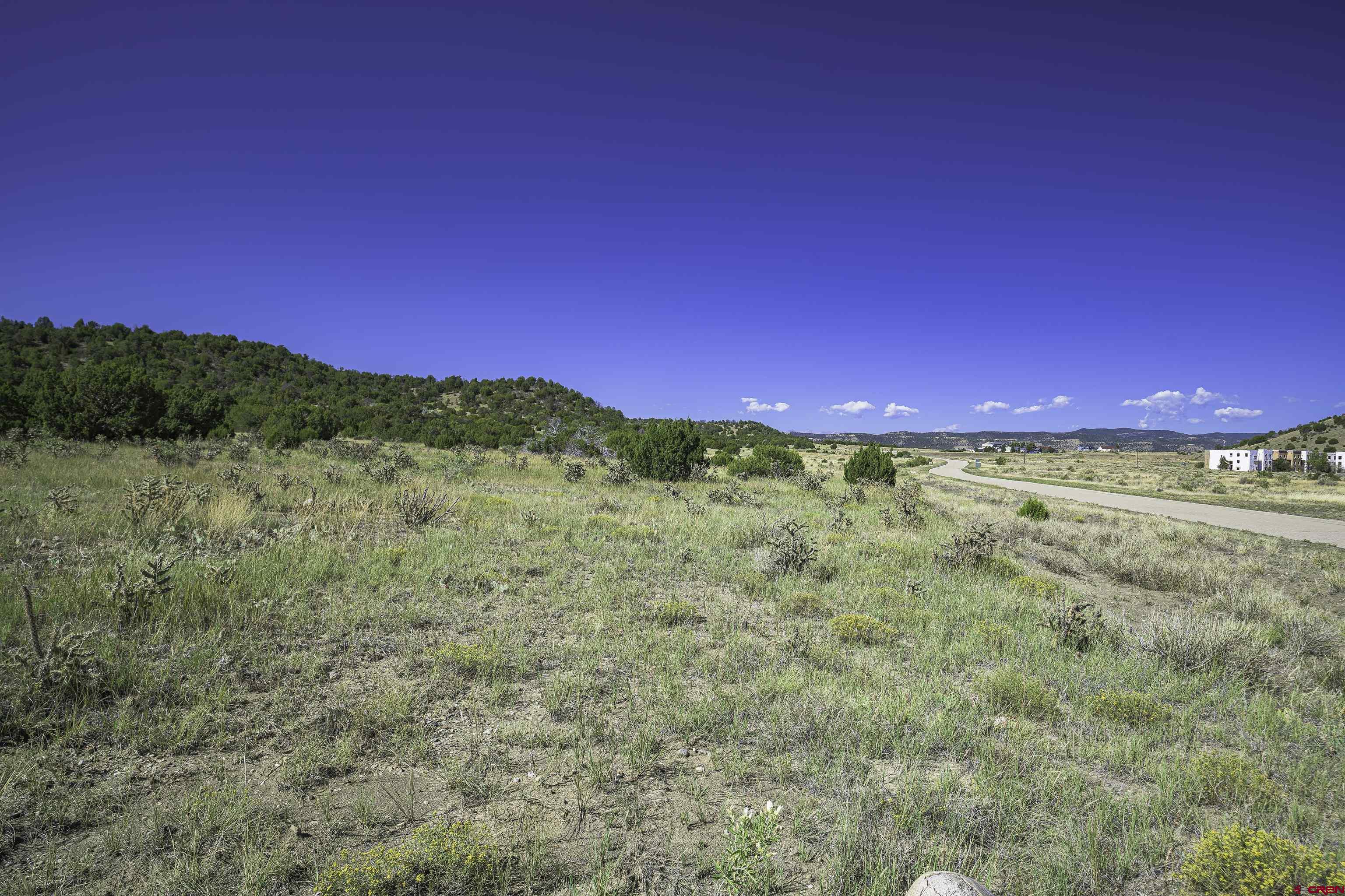 37250 Kunzite Road Trinidad, CO 81082 - Photo 16 of 33 a view of a green field