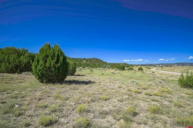 a view of a yard with swimming pool