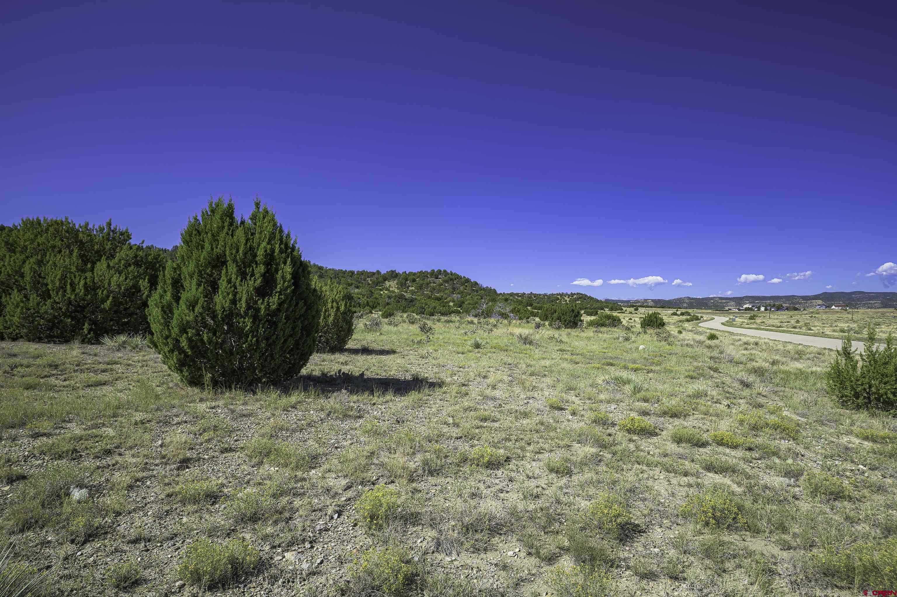 37250 Kunzite Road Trinidad, CO 81082 - Photo 17 of 33 a view of a large trees with mountains in the background