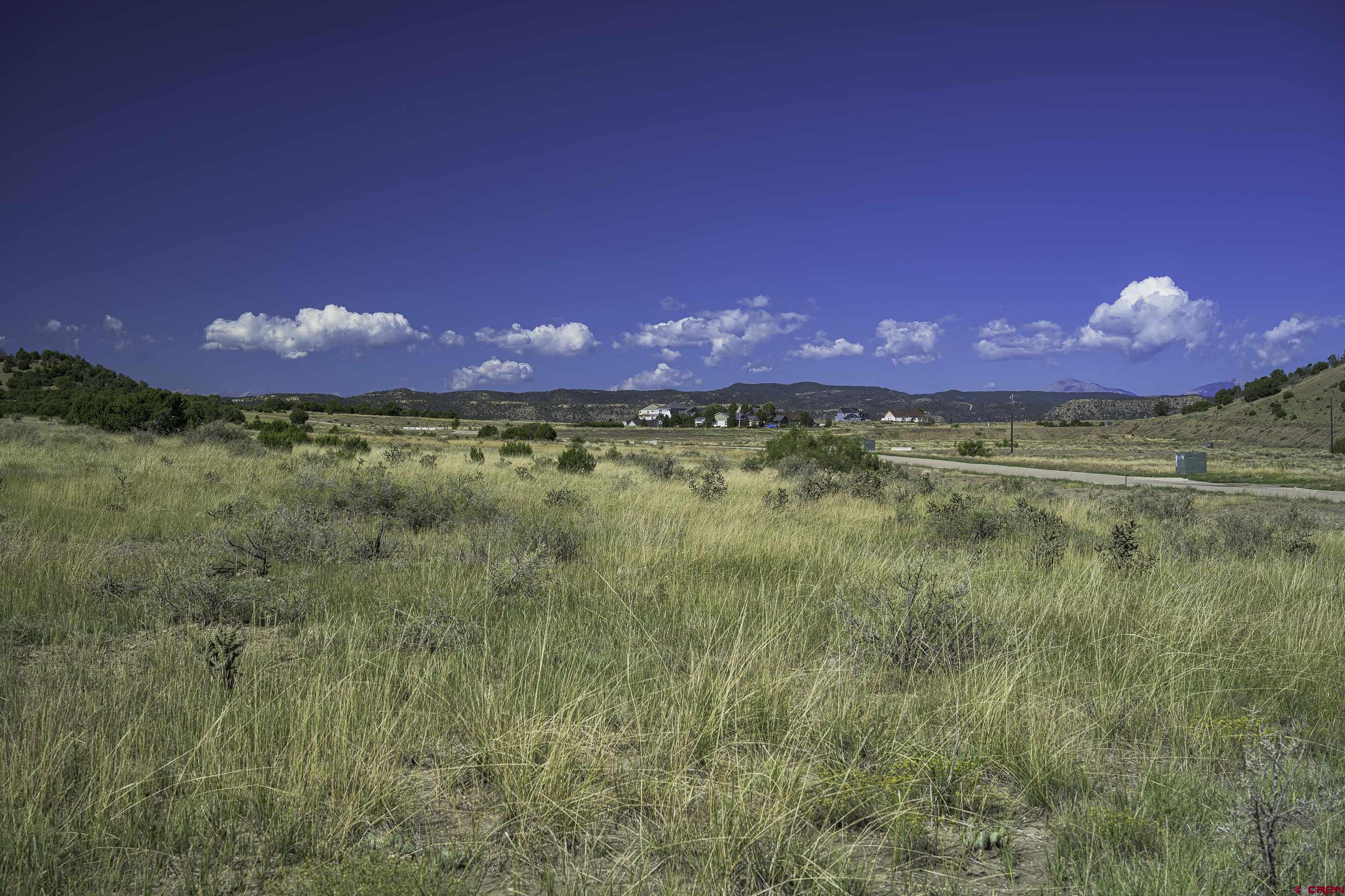 37250 Kunzite Road Trinidad, CO 81082 - Photo 18 of 33 a view of a yard with swimming pool