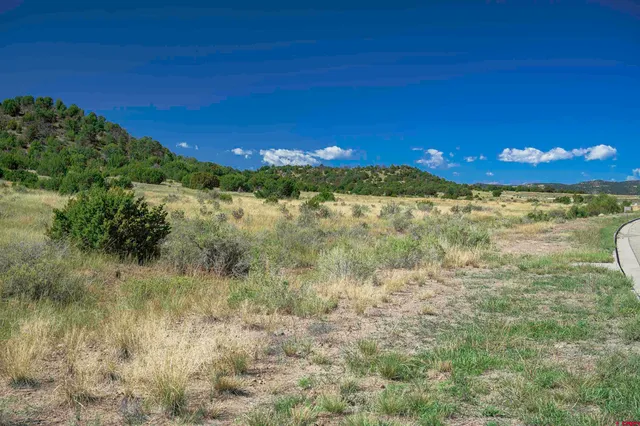 a view of a field with an ocean