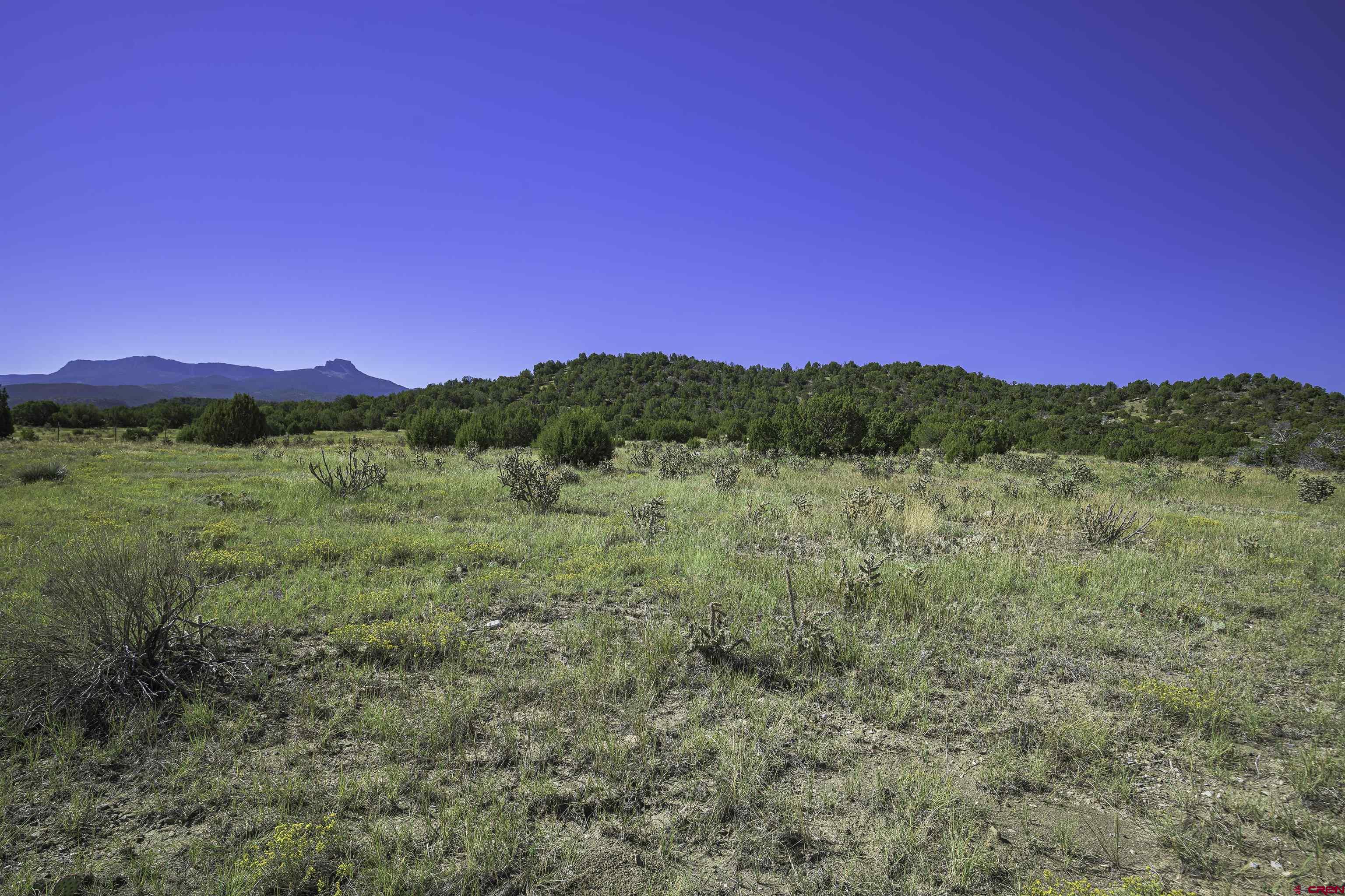 37250 Kunzite Road Trinidad, CO 81082 - Photo 2 of 33 a view of mountain with outdoor view