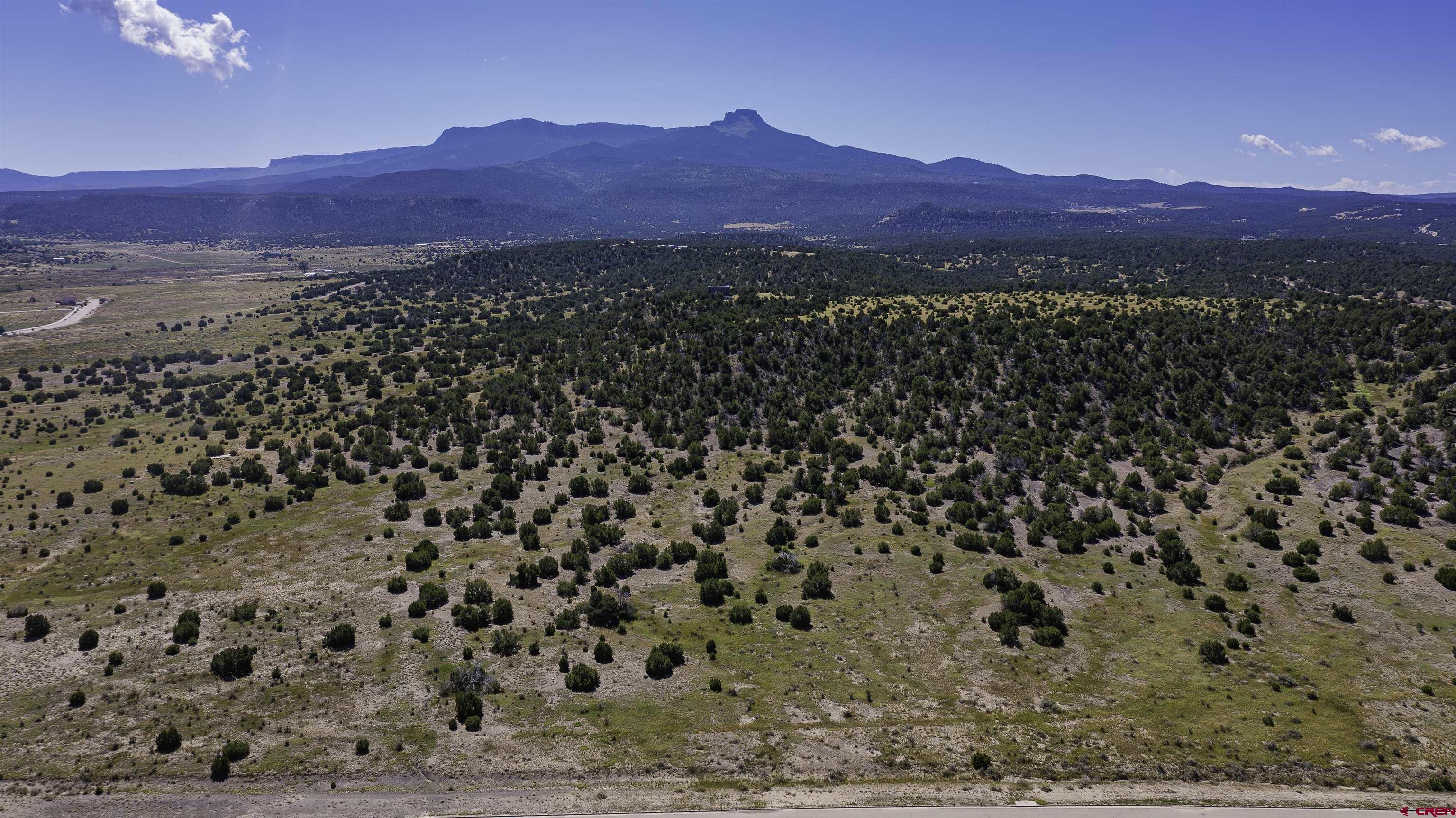 37250 Kunzite Road Trinidad, CO 81082 - Photo 22 of 33 a view of city and mountain