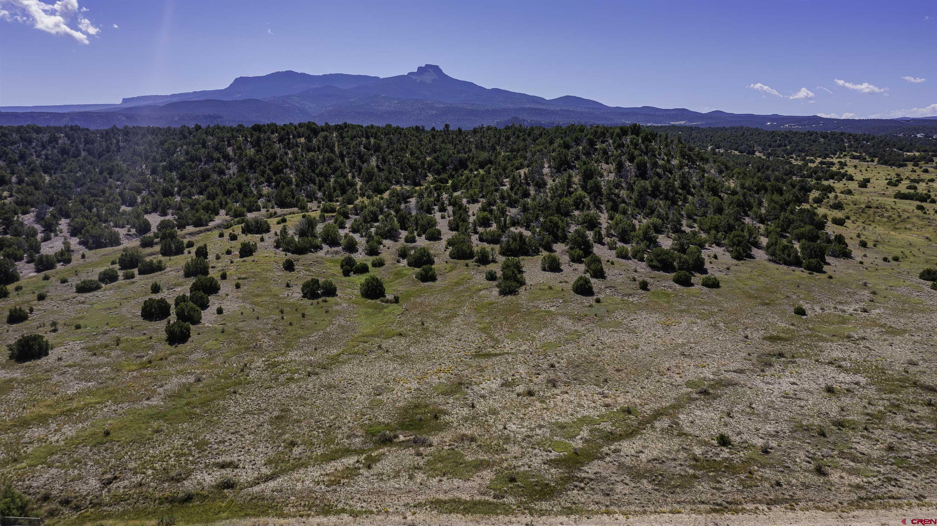 37250 Kunzite Road Trinidad, CO 81082 - Photo 23 of 33 a view of a yard