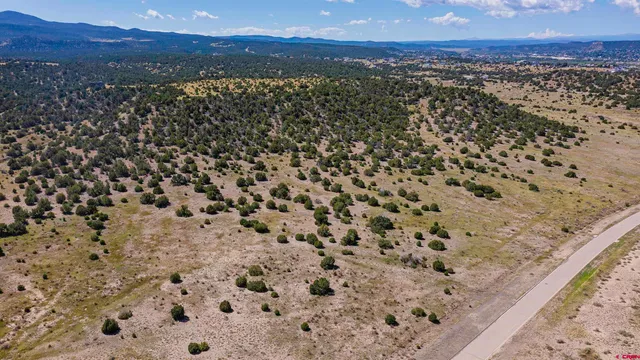 a view of a yard with a snow