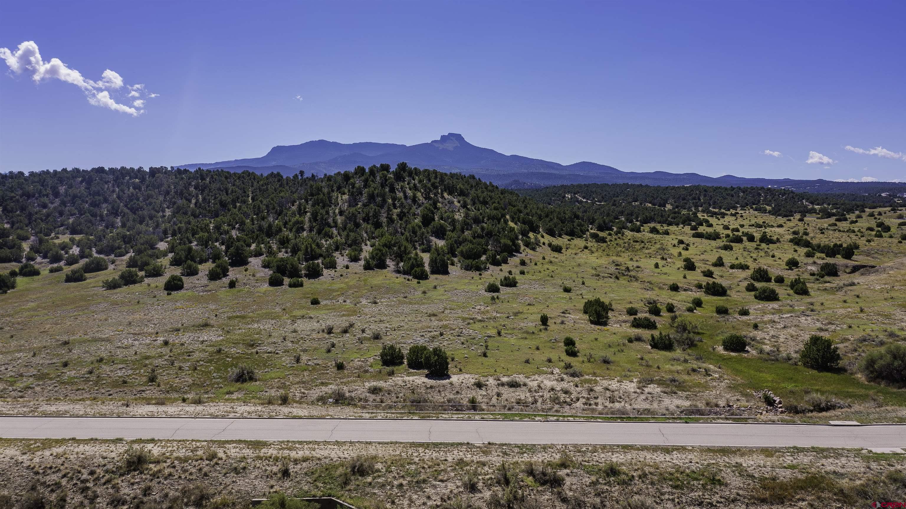 37250 Kunzite Road Trinidad, CO 81082 - Photo 27 of 33 a view of a yard with a snow