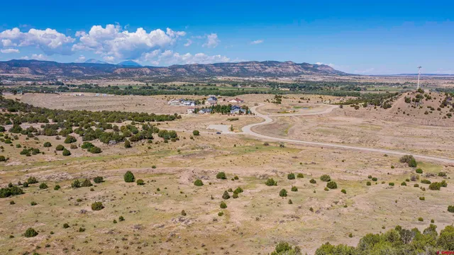a view of beach and ocean