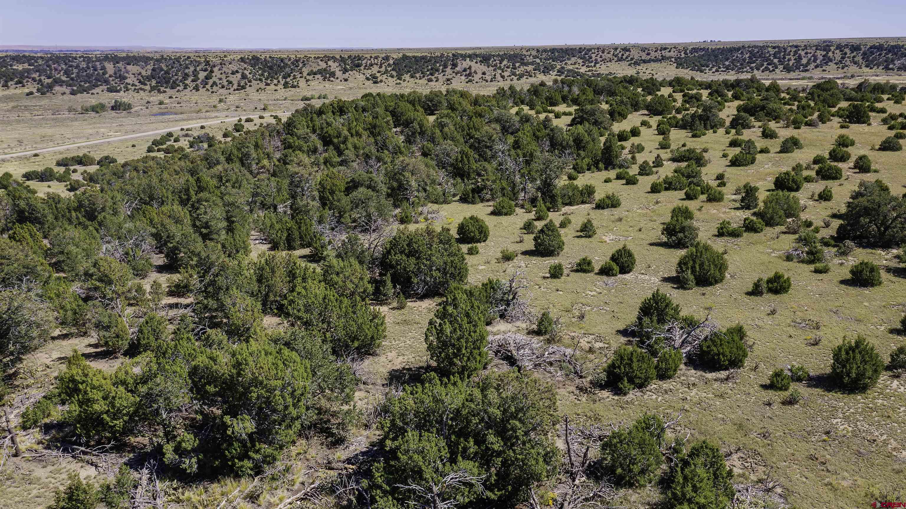 37250 Kunzite Road Trinidad, CO 81082 - Photo 33 of 33 a view of a yard with a mountain