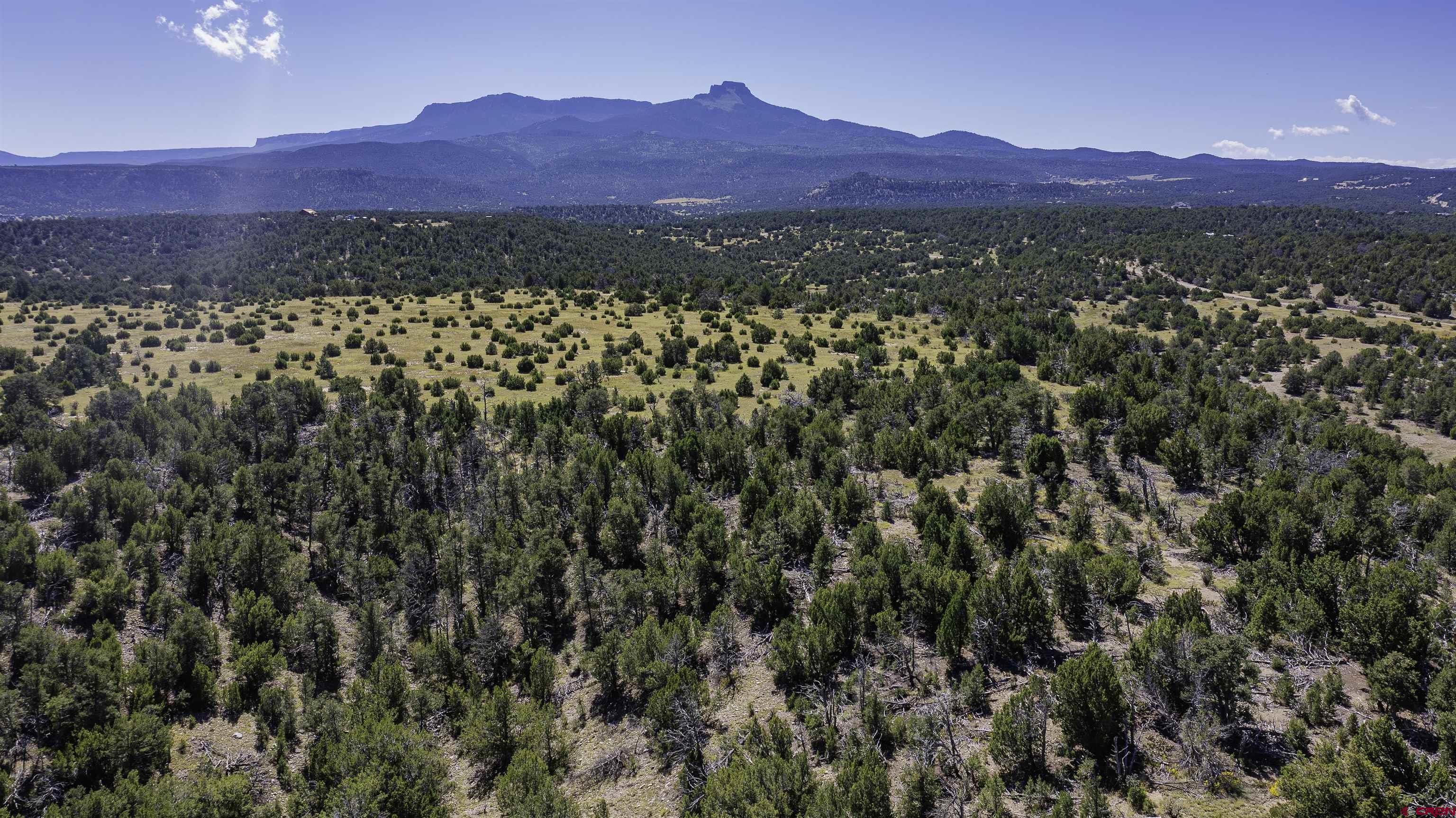 37250 Kunzite Road Trinidad, CO 81082 - Photo 4 of 33 a view of a and mountain