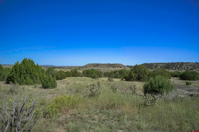 a view of mountain and trees in the background