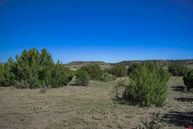 a view of a mountain range with trees in the background