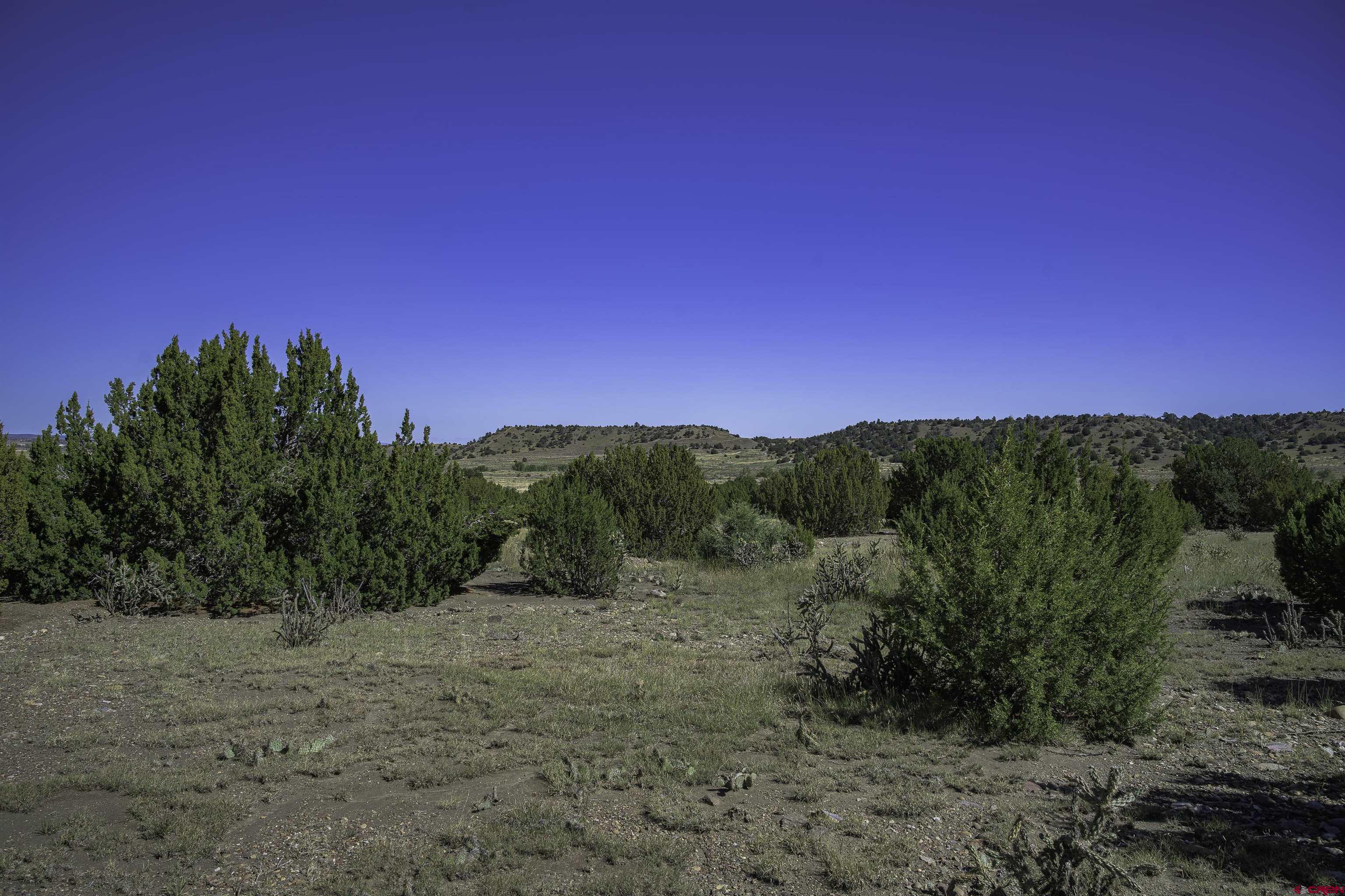 37250 Kunzite Road Trinidad, CO 81082 - Photo 6 of 33 a view of a mountain range with trees in the background